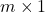 \displaystyle m \times 1