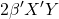 \displaystyle 2\beta 'X'Y